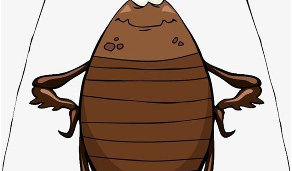 عشر حقائق لا تعرفونها عن الصرصور!