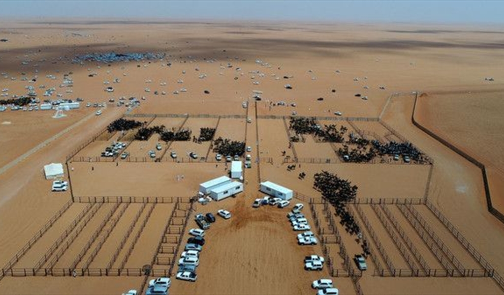 بالصور: هذا مكان تنزه وتخييم الملوك في السعودية