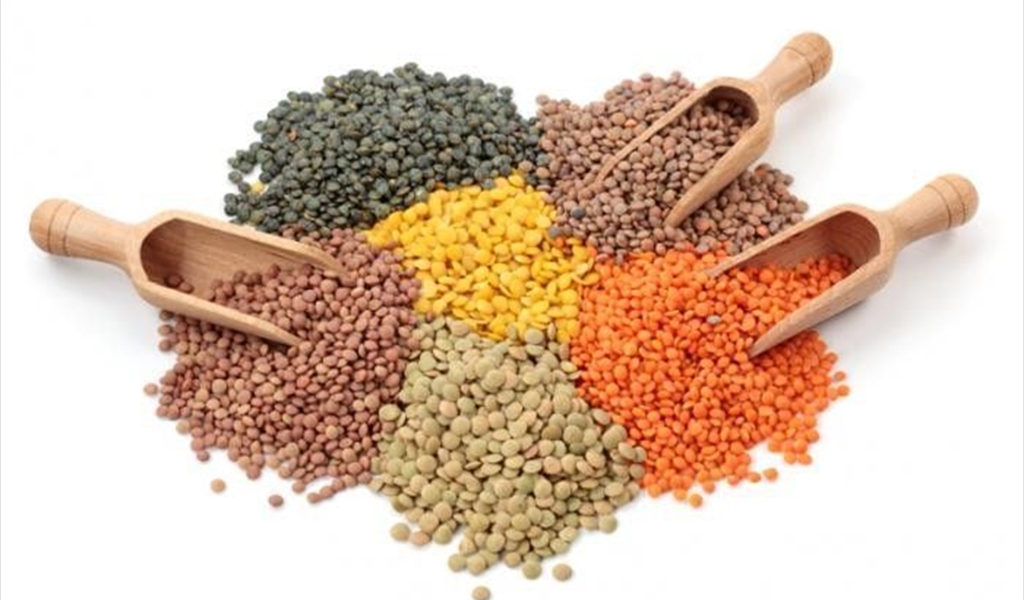 بلاستيك أو زجاج.. أيّهما أفضل لحفظ الأطعمة؟