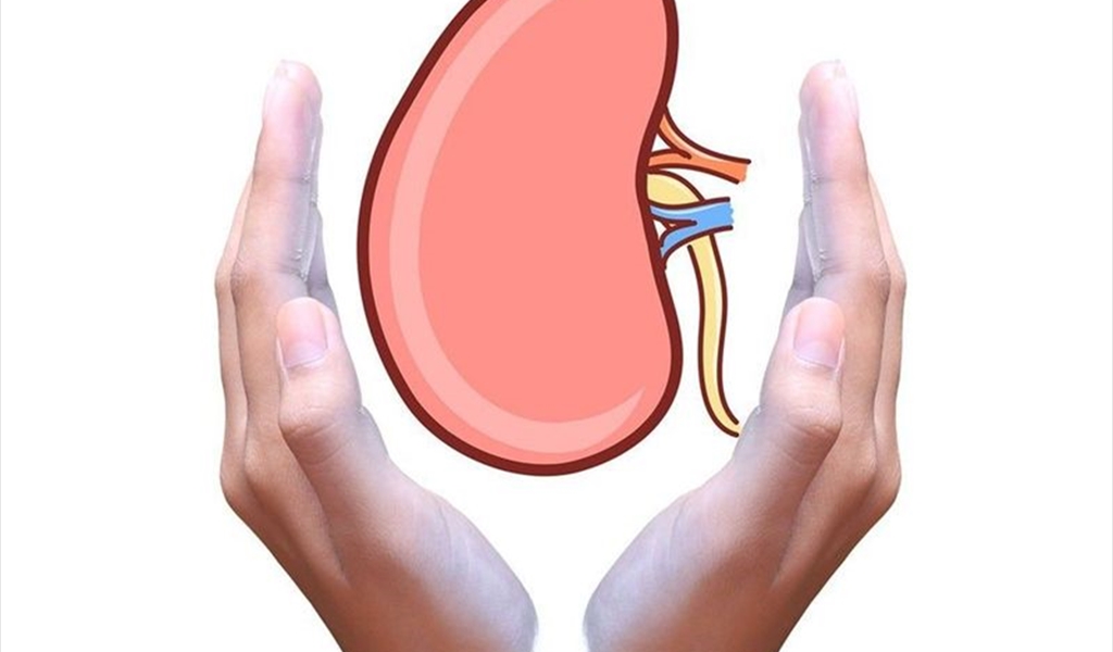 لتحموا أنفسكم من الفشل الكلوي.. اتبعوا هذه الخطوات