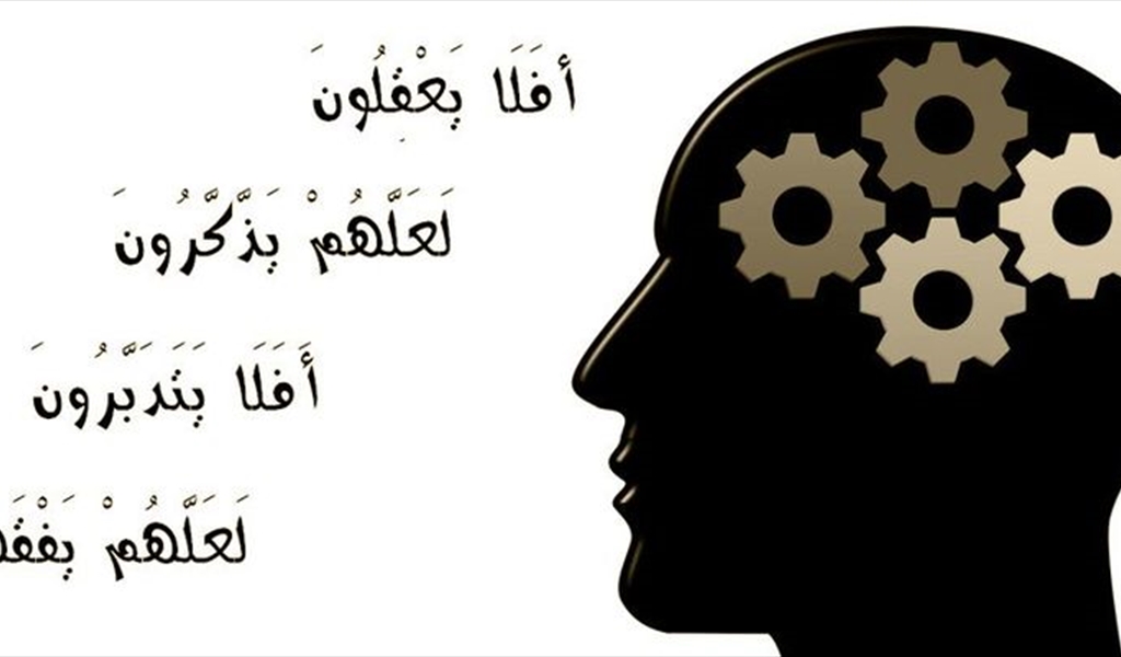 مزوق: علينا الاهتمام بتربية العقول على منهج الدين الصحيح
