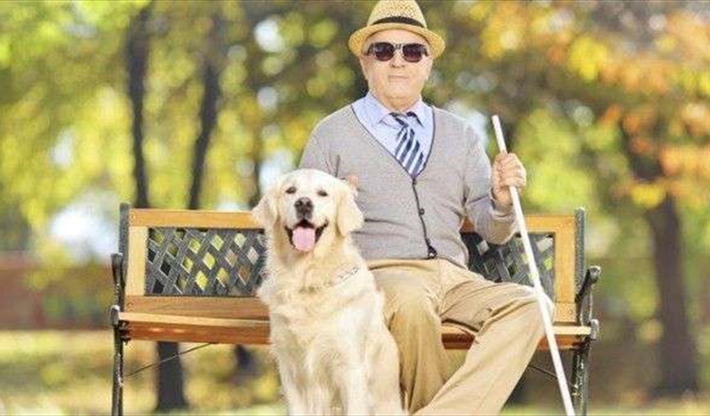 لماذا يلبس الأعمى نظارة سوداء وهو لا يرى؟