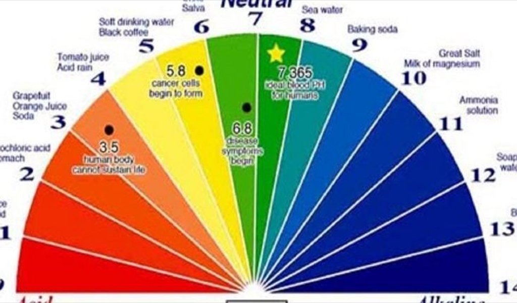 إليكم أسهل طريقة لتعرفوا حموضة أجسامكم