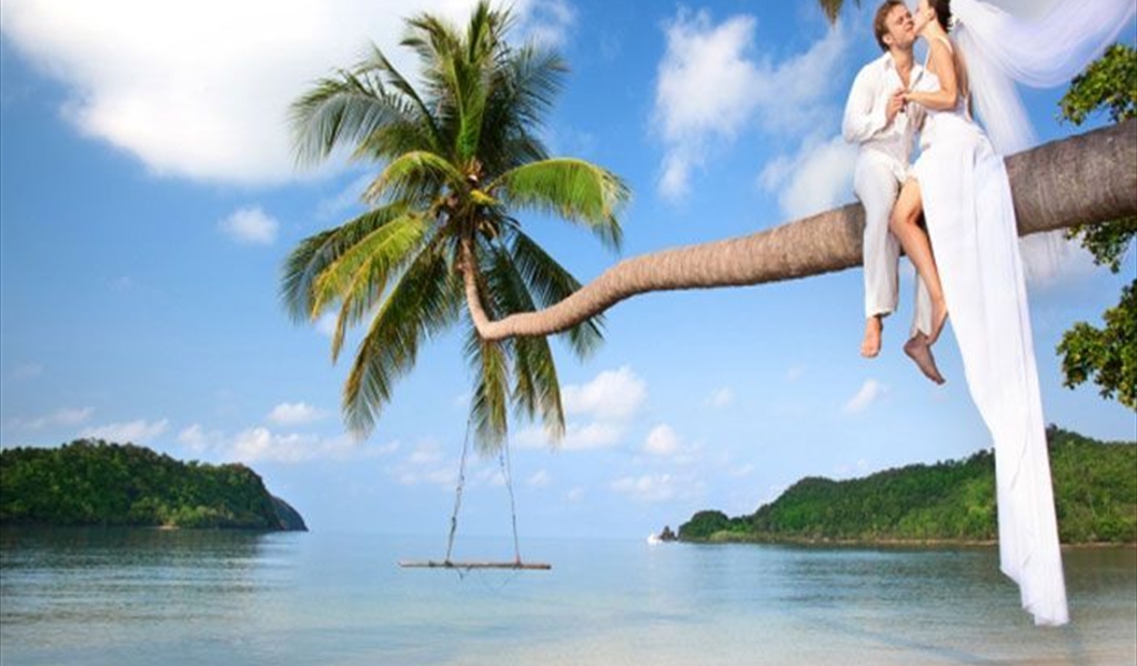 من أين جاءت فكرة "شهر العسل"؟