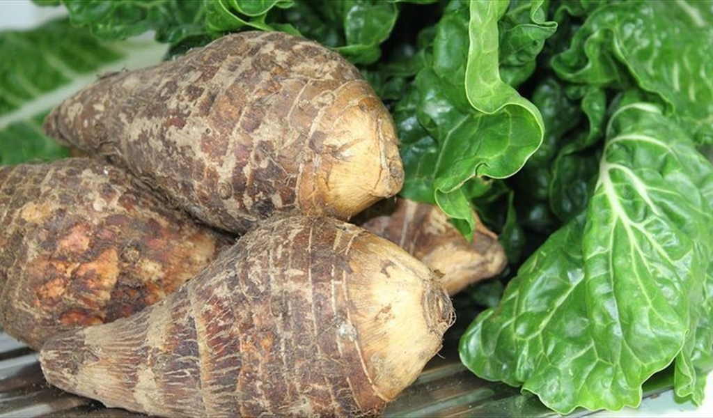 يقي من السرطان والسكري.. 4 فوائد مهمّة للقلقاس يجب أن تعرفوها!