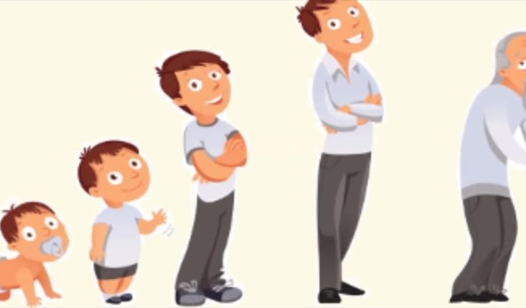 عضو وحيد في جسم الإنسان لا يكبر حجمه منذ الولادة إلى الشيخوخة!