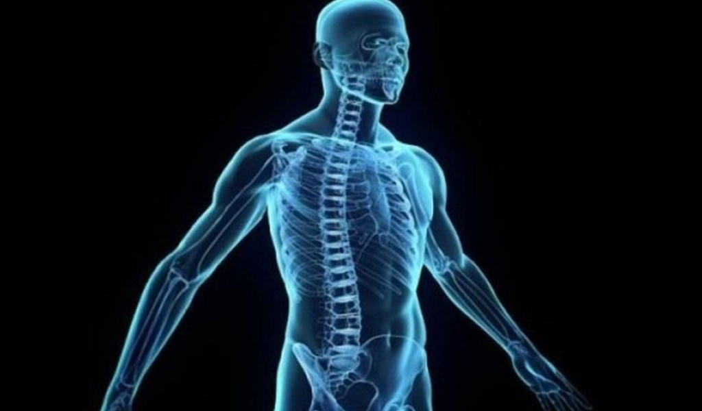 تعرف على الأعضاء الداخلية التي بإمكانك العيش من دونها!