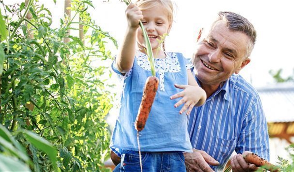 إليك أساسيات زراعة الحدائق المنزلية لغير المزارعين