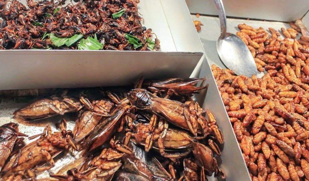 حشرات متنوعة في مطعم بتايلاند