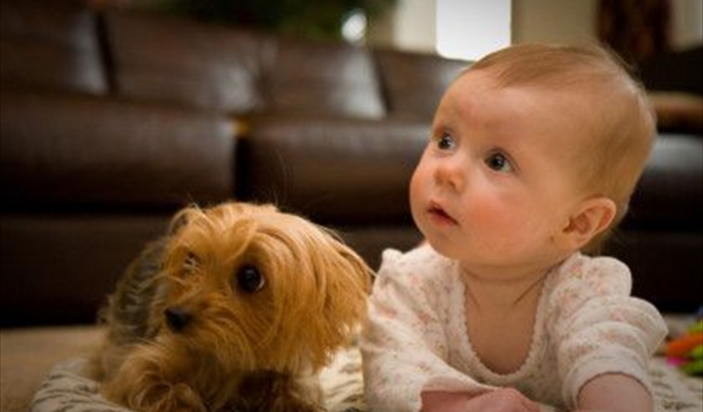 إذا كان في منزلك أطفال... هذه الـ"حيوانات" يجب التخلي عنها؟!