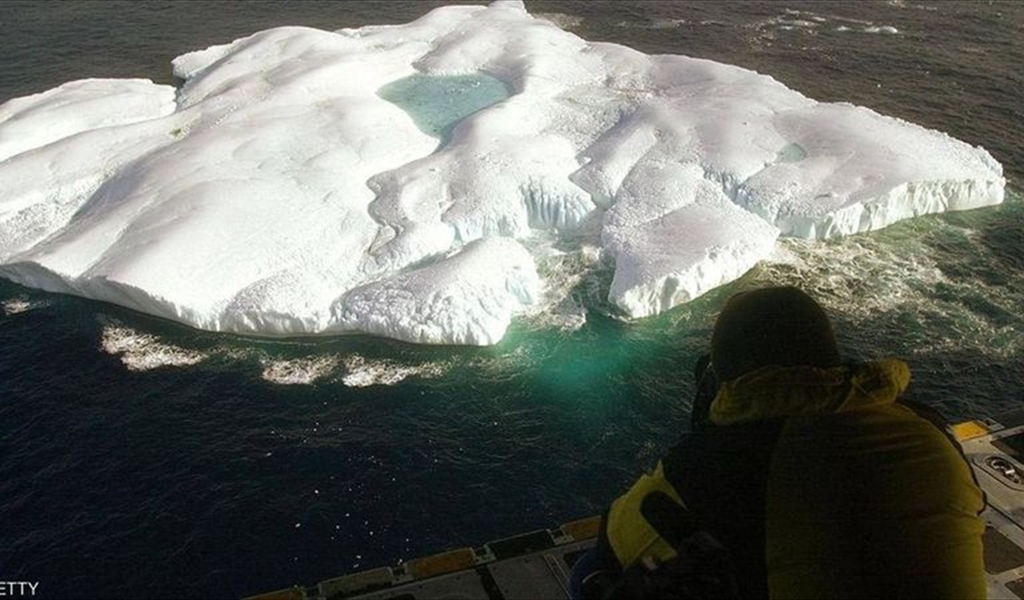 عثر راينبيرد على الأحفورة الفطرية في القطب الشمالي الكندي.
