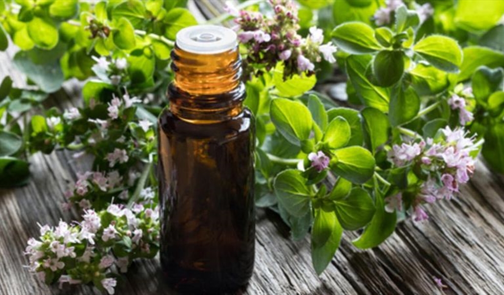 زيت الأريجانو أفضل المكمِّلات لخفض الكوليسترول!