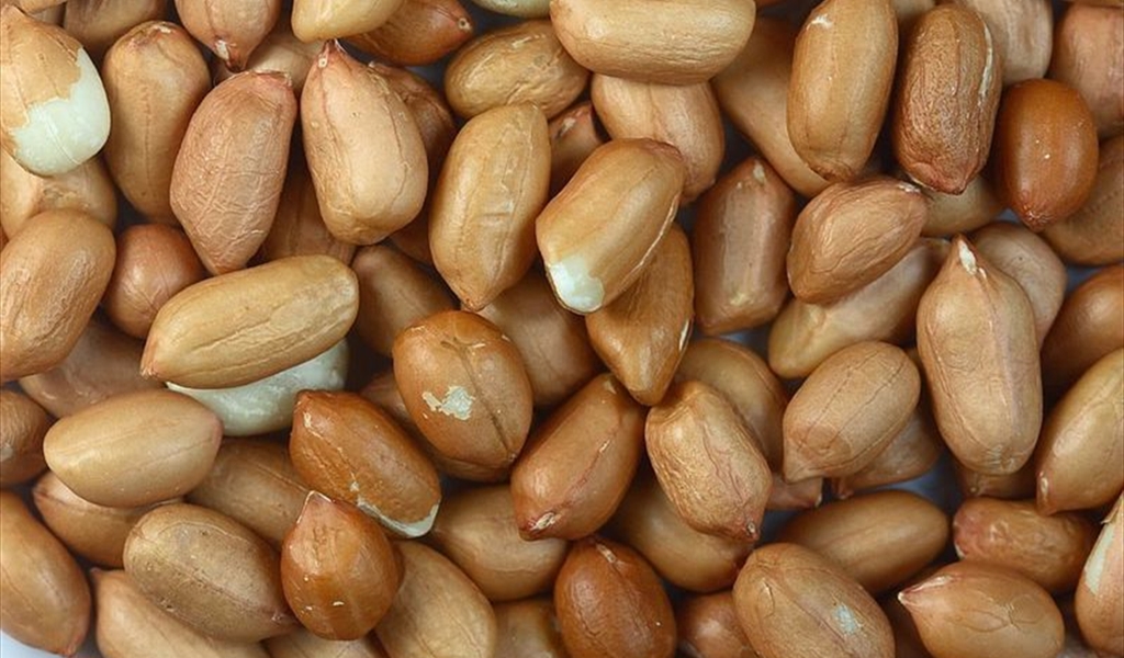 «سوداني» في ساحة المعرض