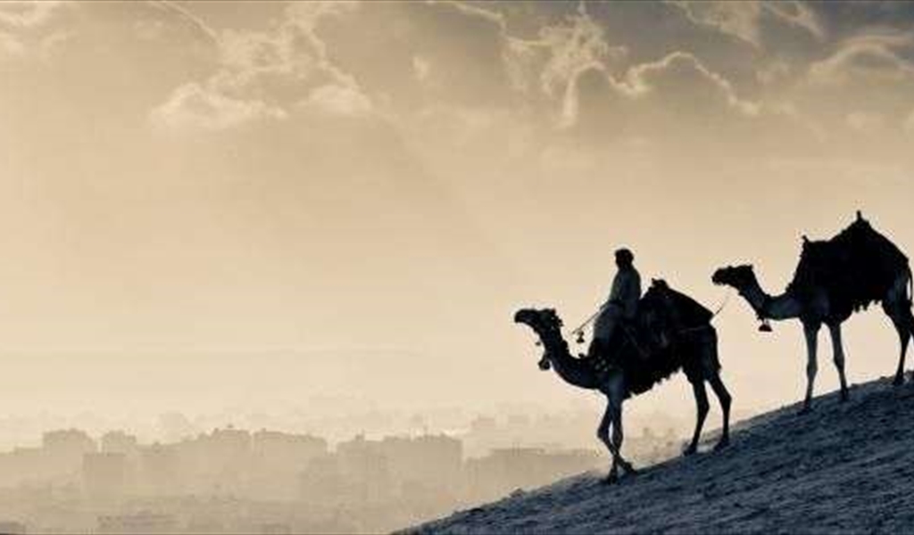 في رحاب الهجرة