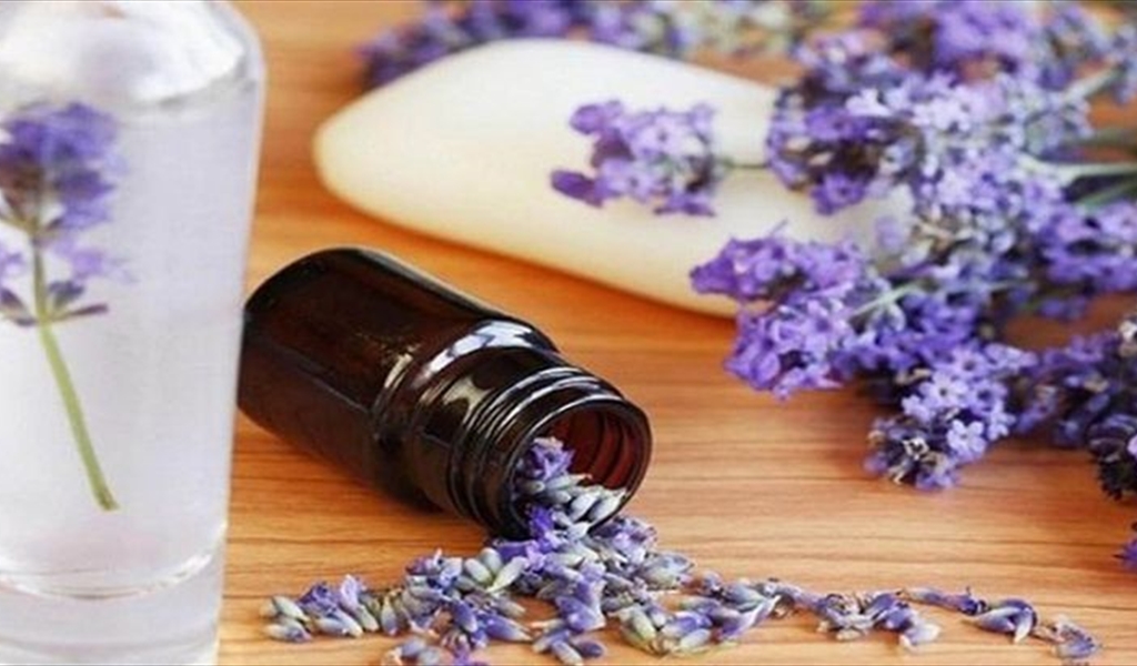 اللافندر وزيته
