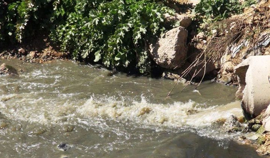 الذهب الأبيض  ثروة لبنان المنهوبة