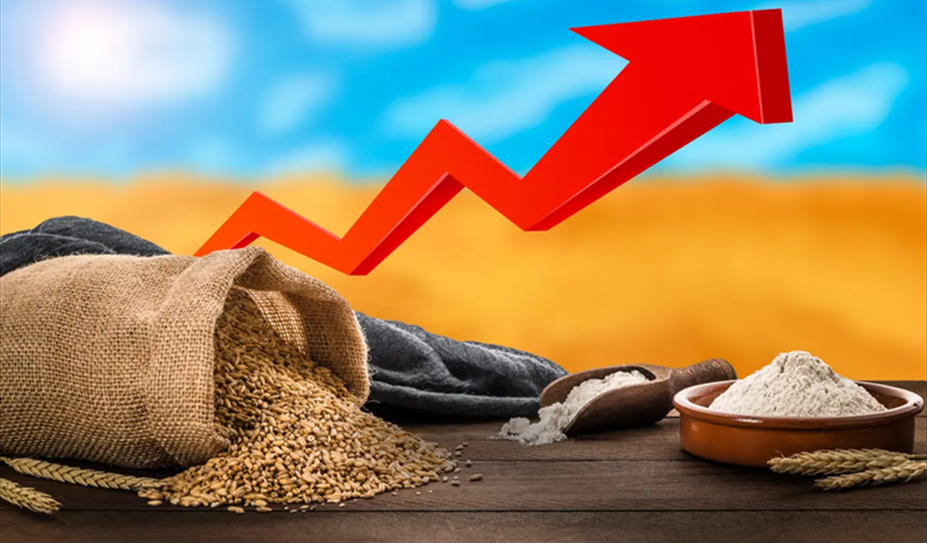 أزمة غذاء عالمية؟