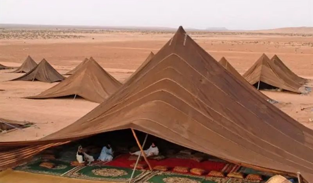 البدو تقاليدهم وعاداتهم.. لا زمان عندهم ولا مكان!