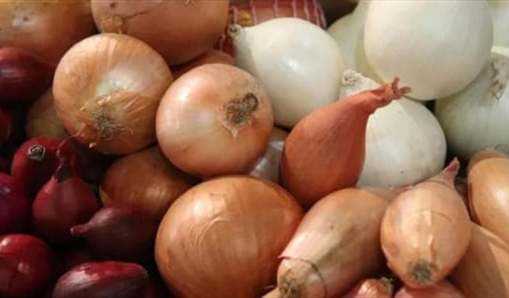 اليكم السبب الحقيقي لإرتفاع سعر البصل في لبنان