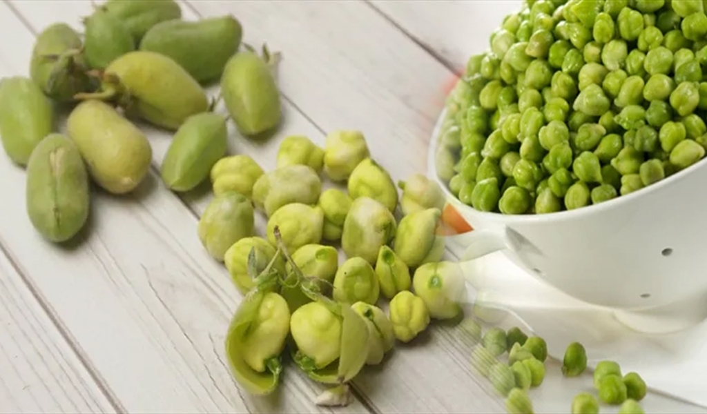 الحمص الأخضر قاموس فيه علاج لكل داء
