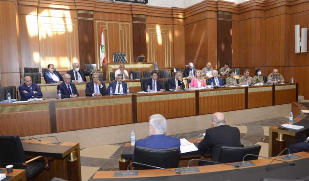 اجتماع لجنة المال مع الخبير النروجي (محمود يوسف)