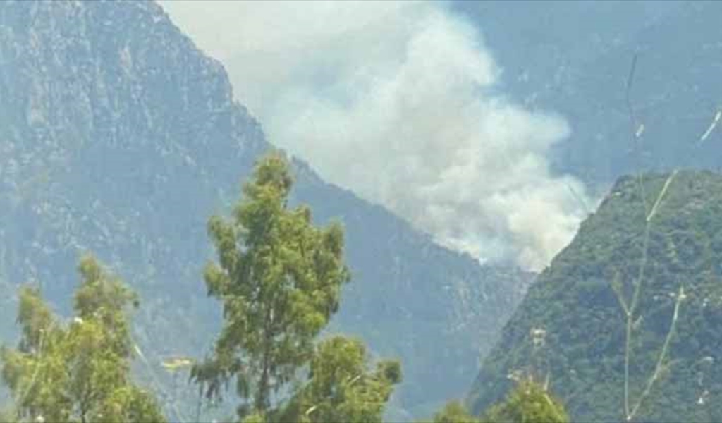 حريق كبير في وادي جهنم في عكار