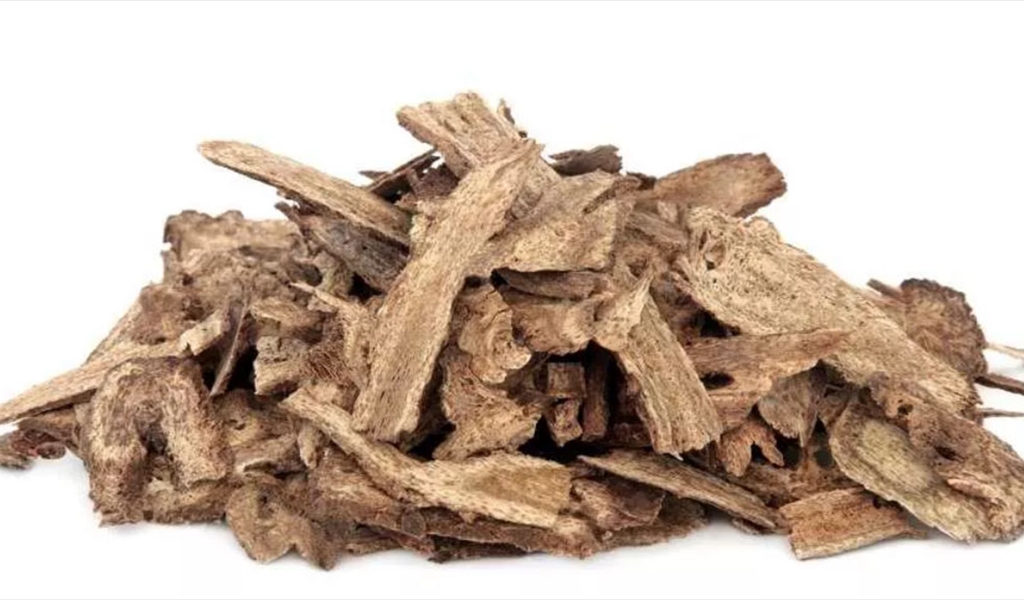 القسط الهندي يكافح أمراض القلب والسرطان والشيخوخة