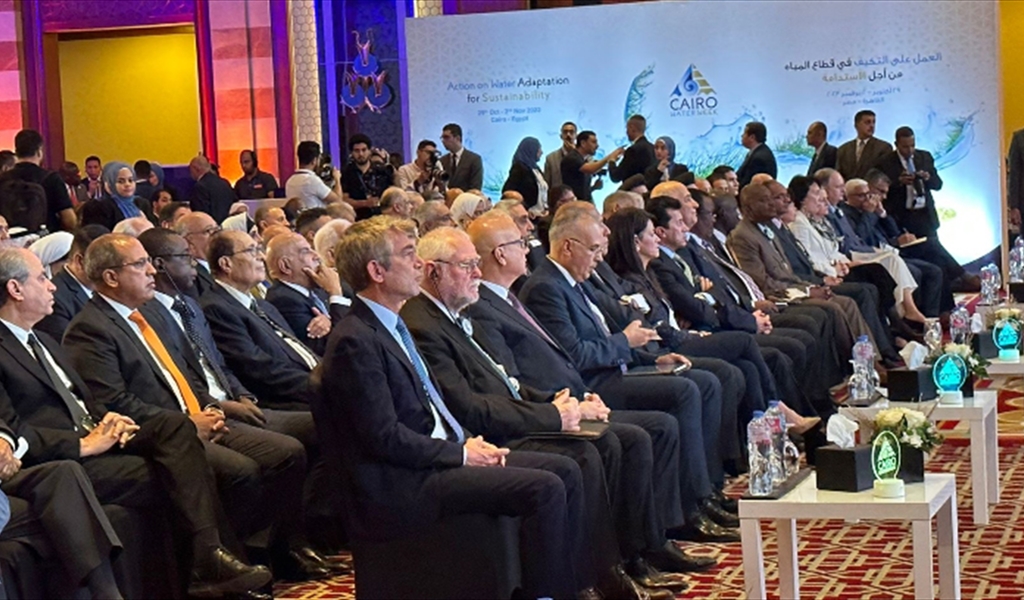 الوزير فياض مشاركاً في اجتماع أسبوع القاهرة