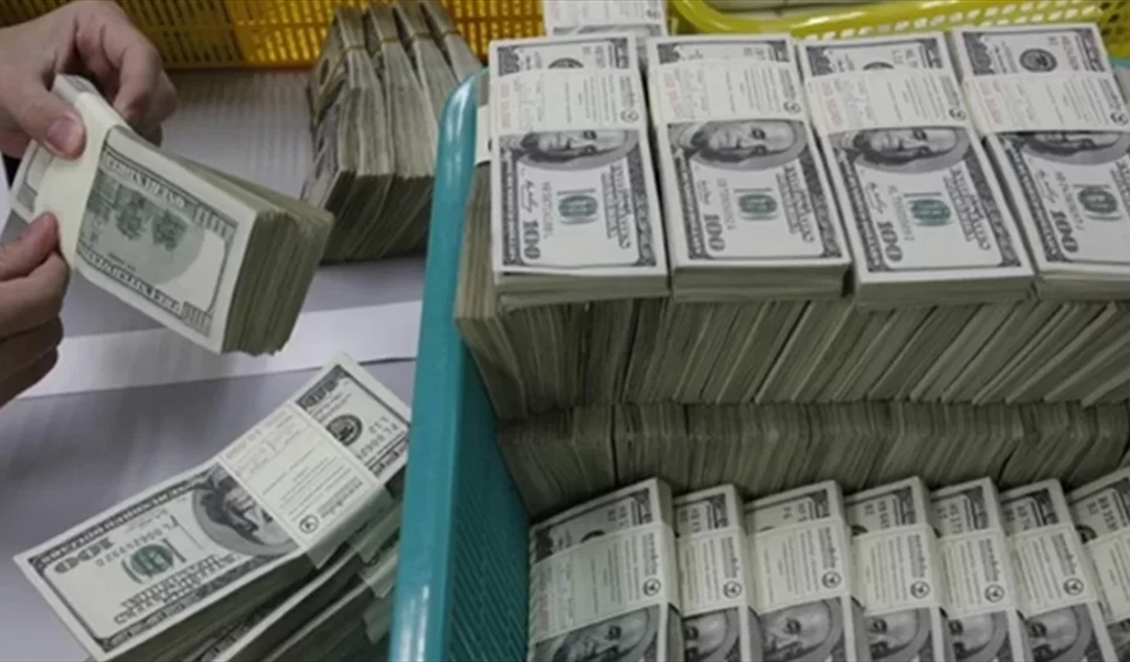 حلول دكتور وزني لأزمة الودائع تجمع بين السّم والعسل