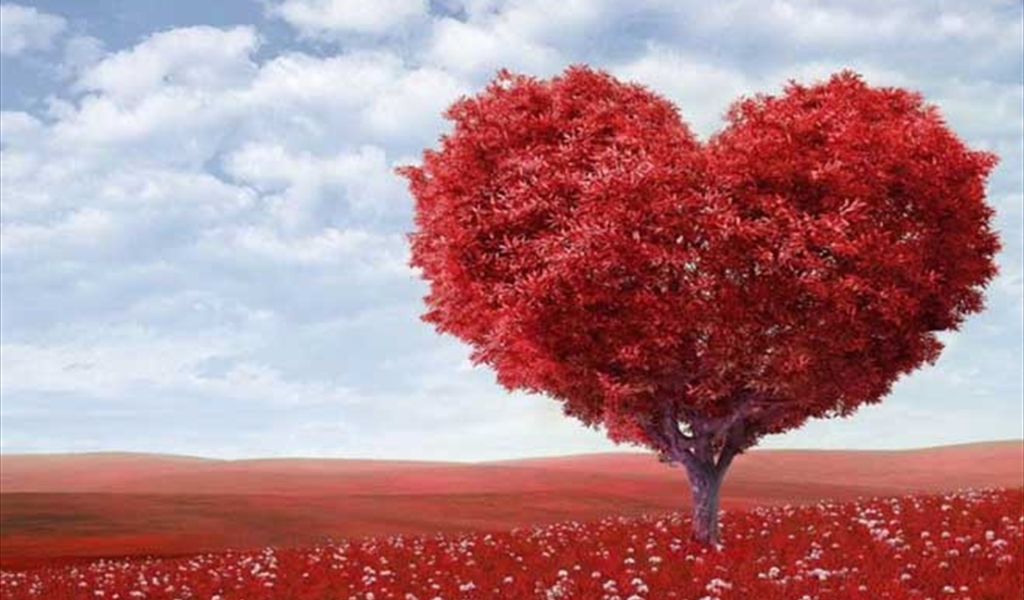 قراءة نفسيّة للحب.. في عيده!