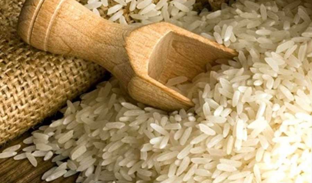 بحصلي: لا أرزّمسرطن في لبنان