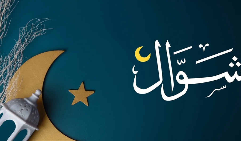 من فقهيات شهر شوال