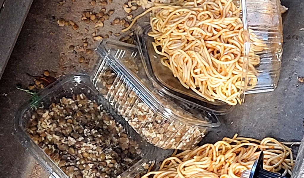 حصص غذائية مرمية على الطرقات