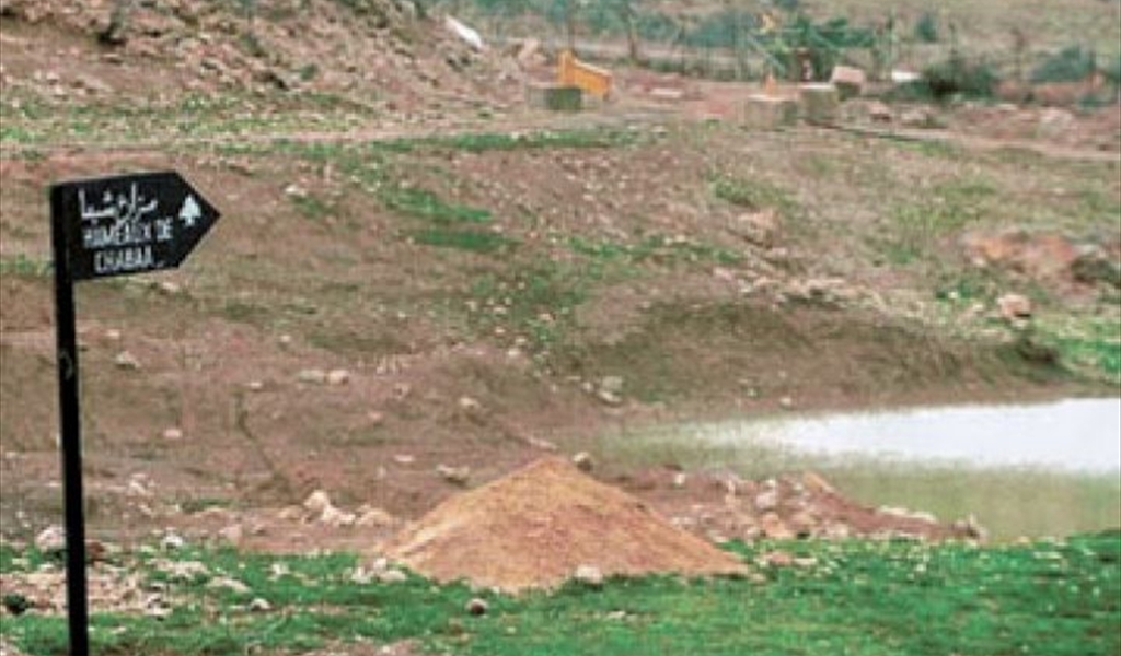 أرزة لبنان تُشير إلى مزارع شبعا