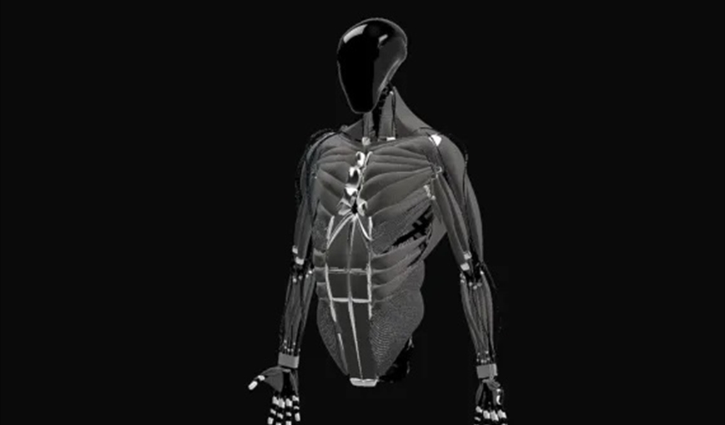 روبوت بهيكل بشري