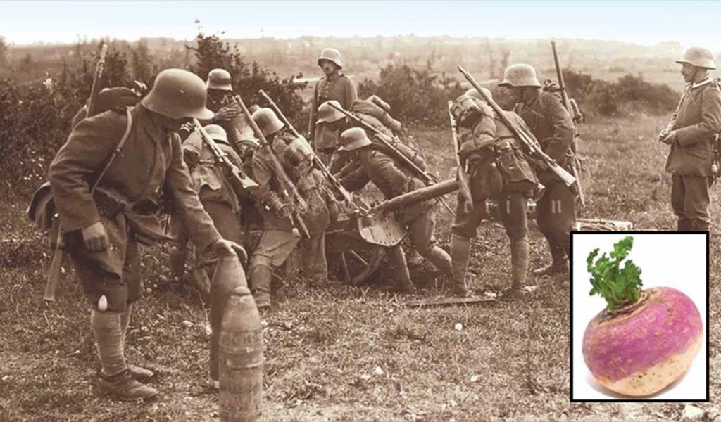 بسبب المجاعة.. اللفت غذاء الألمان في الحرب العالمية الأولى