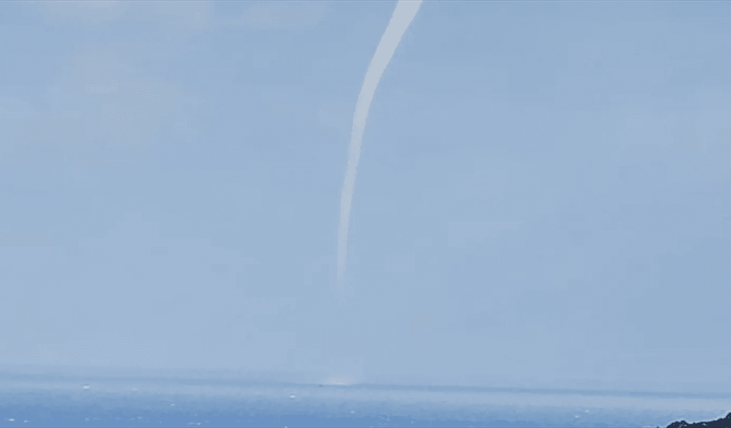 "تنين البحر" على شاطئ كبا وسلعاتا – البترون