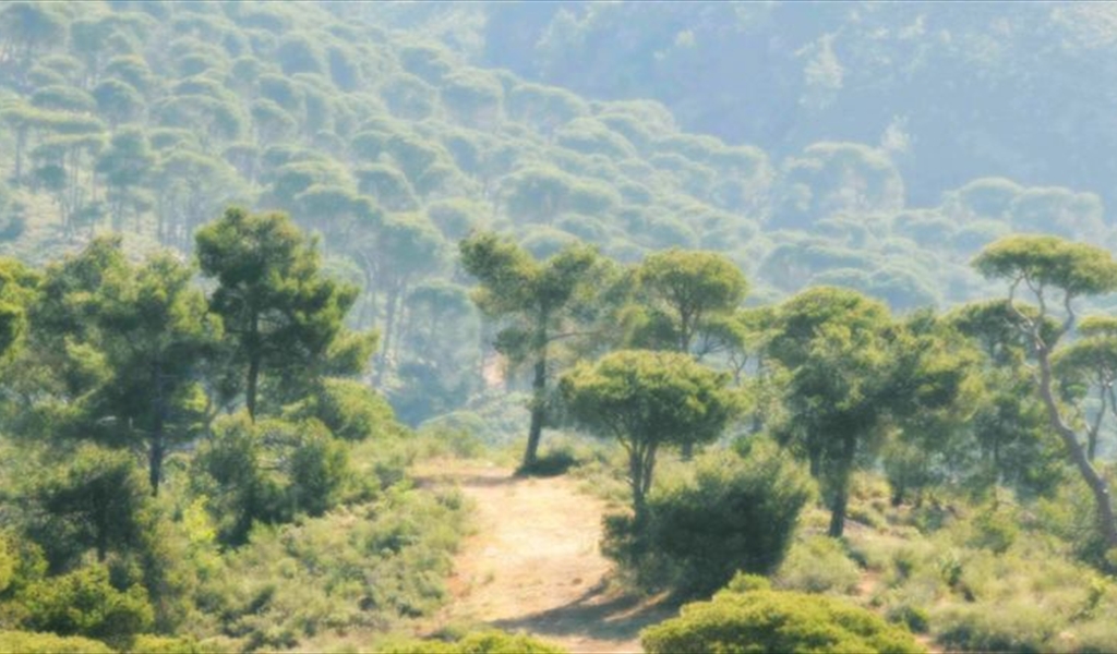 إطلاق العمل على الموسوعة الادبية: تراث ادب جبل عامل الشفهي