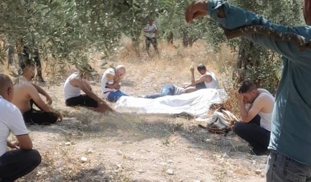 جثّة معلّقة على غصن شجرة في عكار!