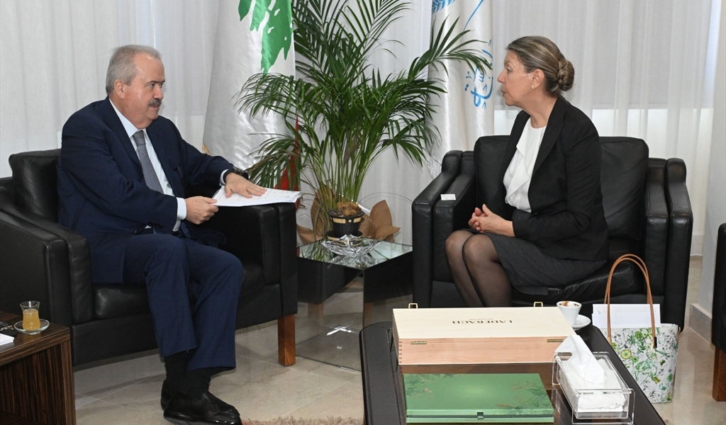 الوزير جابر مستقبلاً سفيرة النمسا