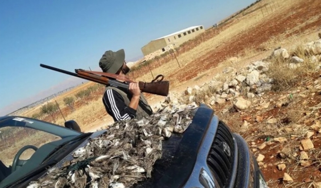 الصيد الجائر يزعزع موقع لبنان كممرّ رئيسي لهجرة الطيور.. الخطيب يكشف لـ«اللواء» مكامن الخلل وخارطة الحل!