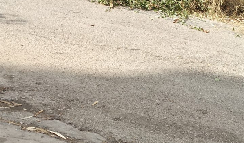 حملة تنظيف في دير قوبل