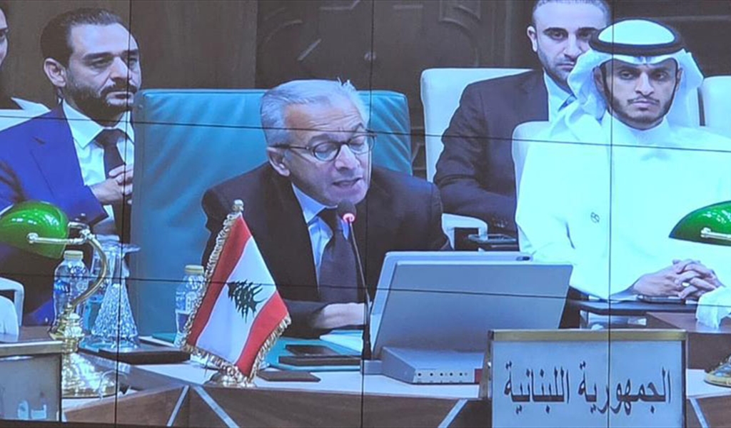 الوزير البساط يلقي كلمته في القاهرة