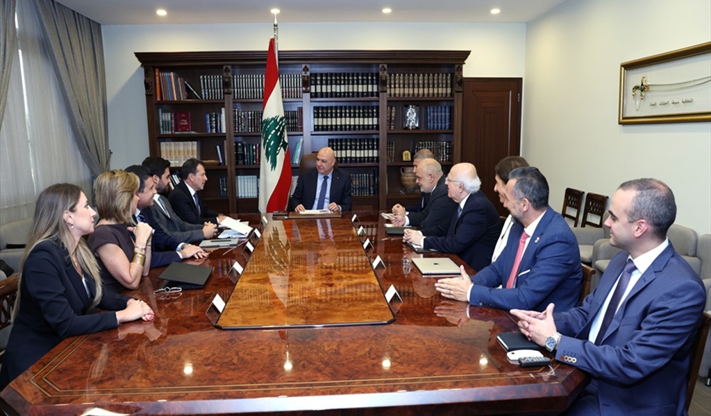 شحادة من بعبدا: عرضنا مشروع قانون لإنشاء وزارة مستقلة