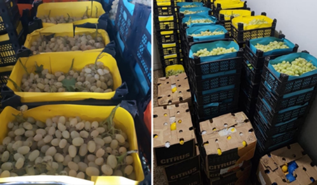 تهريب عنب وموز وليمون... خطّة صارمة للمواجهة!