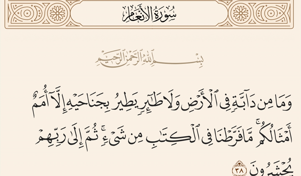الرحمة بالحيوان: معيار الإيمان وأساس الإنسانية