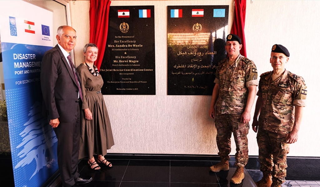 العماد هيكل والسفير ماغرو وممثلة الاتحاد الأوروبي