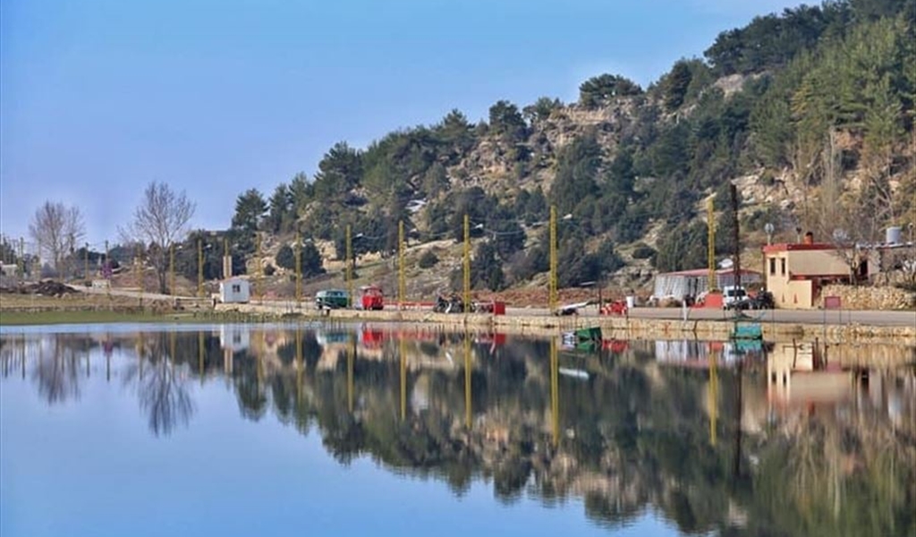 صرخة بيئية من قلب عكار: القموعة في خطر!