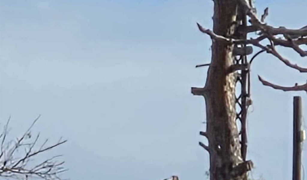 العدو الاسرائيلي يقوم بالتجريف في حولا