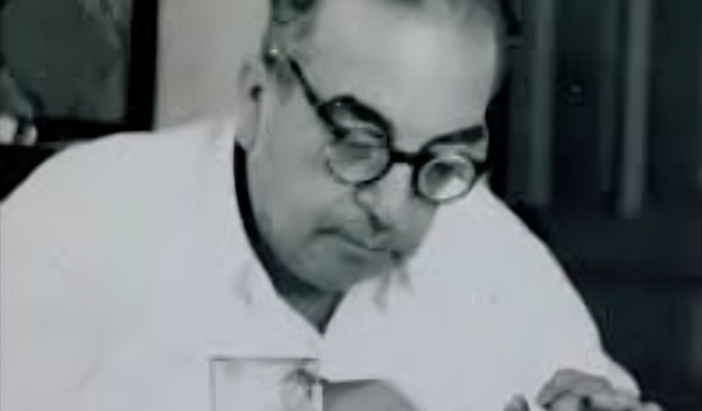 عمر الفضيحة ثلاثة أيام!